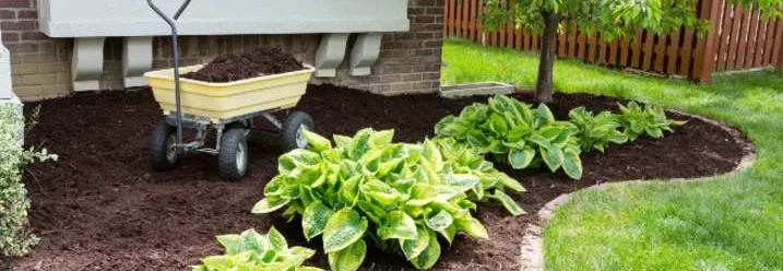 Rindenmulch und Schubkarre im Garten